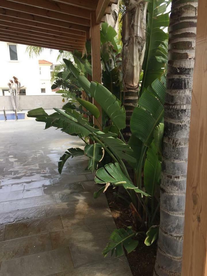 Amanda Villa Protaras Buitenkant foto